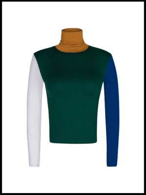Sustainable Colorblock Turtleneck